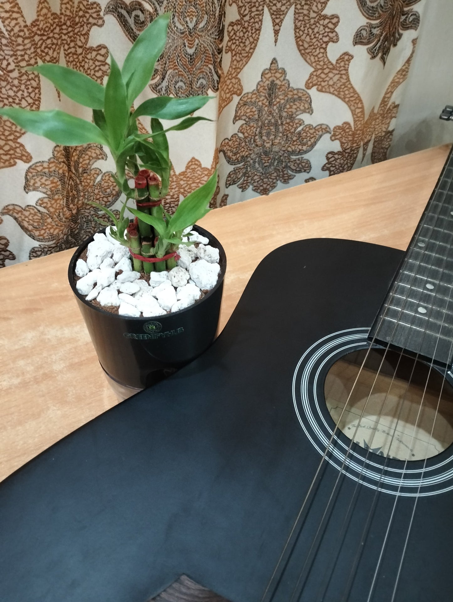 Bamboo 2 Layer Live Indoor Plant with Self Watering Pot